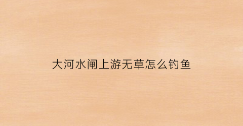 “大河水闸上游无草怎么钓鱼(大河水闸上游无草怎么钓鱼视频)