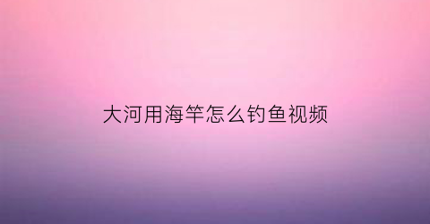 “大河用海竿怎么钓鱼视频(海竿大河钓鱼用多大铅坠)