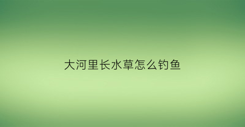 大河里长水草怎么钓鱼(河里长的水草)
