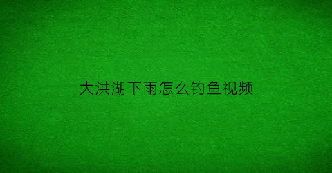 “大洪湖下雨怎么钓鱼视频(2021年4月大洪湖可以钓鱼吗)