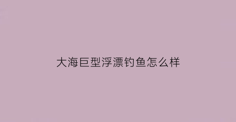 “大海巨型浮漂钓鱼怎么样(很大的大海)