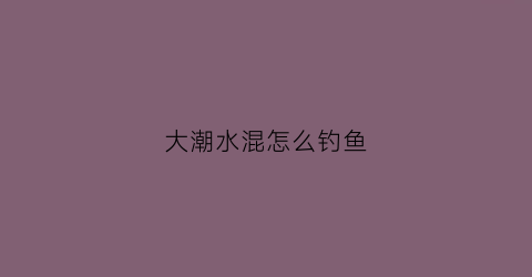 大潮水混怎么钓鱼(大潮如何钓鱼)