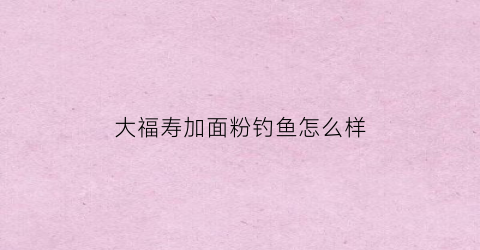 大福寿加面粉钓鱼怎么样