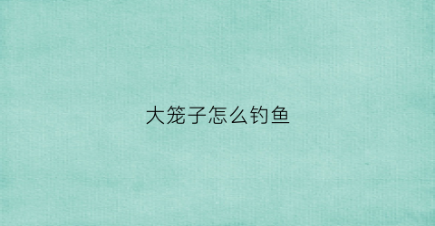 大笼子怎么钓鱼