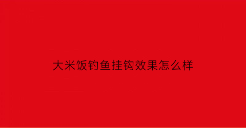 大米饭钓鱼挂钩效果怎么样(大米饭钓鱼挂钩效果怎么样啊)