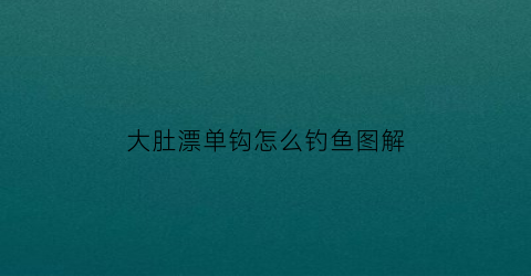 大肚漂单钩怎么钓鱼图解