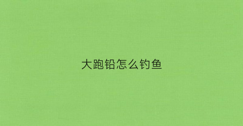 大跑铅怎么钓鱼(大跑铅钓法怎样钓跑铅视频)