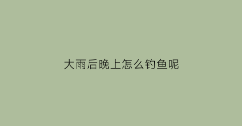 大雨后晚上怎么钓鱼呢(雨后晚上好钓鱼吗)