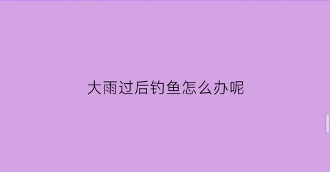大雨过后钓鱼怎么办呢(大雨过后钓鱼位置选在哪里比较好)