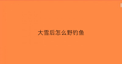 大雪后怎么野钓鱼(大雪后钓鱼技巧)