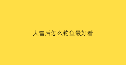 大雪后怎么钓鱼最好看(大雪后如何钓大鲫鱼)