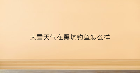 大雪天气在黑坑钓鱼怎么样(下雪天能不能钓到鱼)