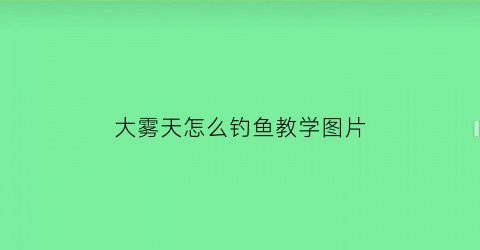 “大雾天怎么钓鱼教学图片(大雾天怎么钓鱼教学图片大全)