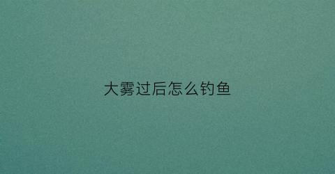 大雾过后怎么钓鱼(大雾天钓鱼好钓鱼怎么钓好)