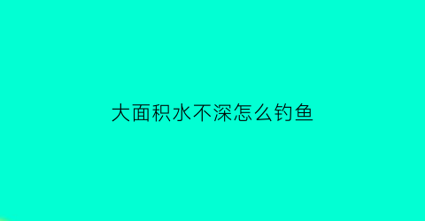 大面积水不深怎么钓鱼(大面积水域如何钓鲫鱼)