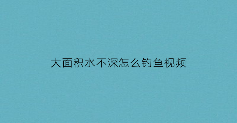 大面积水不深怎么钓鱼视频(大面积水域如何钓草鱼)