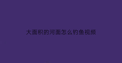 “大面积的河面怎么钓鱼视频(大水面野河怎么钓鱼)