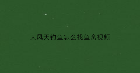 大风天钓鱼怎么找鱼窝视频(大风天钓鱼怎么找鱼窝视频教程)
