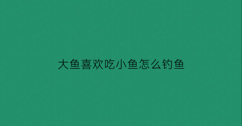 大鱼喜欢吃小鱼怎么钓鱼(大鱼吃小鱼属于什么行为)