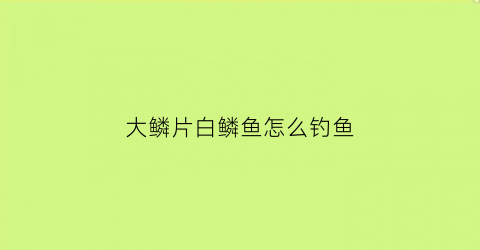 大鳞片白鳞鱼怎么钓鱼(白鳞鱼的鱼鳞去哪里了)