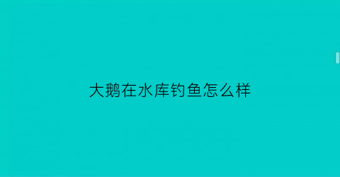 大鹅在水库钓鱼怎么样