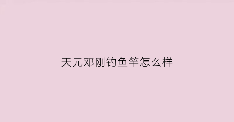 天元邓刚钓鱼竿怎么样(天元邓刚鱼饵糸列)
