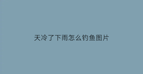 “天冷了下雨怎么钓鱼图片(天气冷下小雨怎么钓鱼)