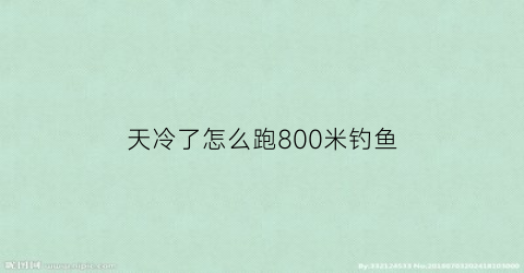 天冷了怎么跑800米钓鱼(冬天跑800米临时技巧)