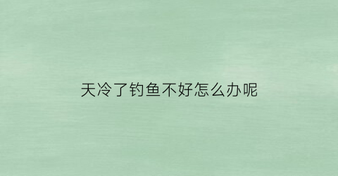天冷了钓鱼不好怎么办呢(天气冷钓不到鱼怎么办)