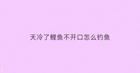 天冷了鲤鱼不开口怎么钓鱼(天冷了鲤鱼不开口怎么钓鱼视频)