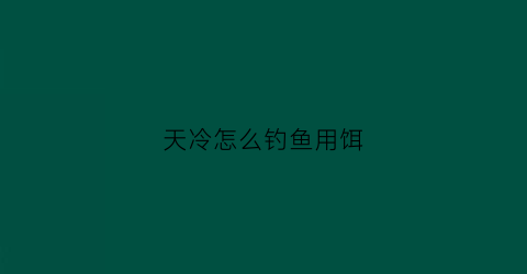 天冷怎么钓鱼用饵(天冷钓鱼饵料里加什么小药好)