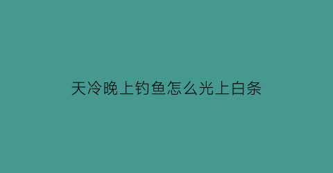 “天冷晚上钓鱼怎么光上白条(天冷夜钓)