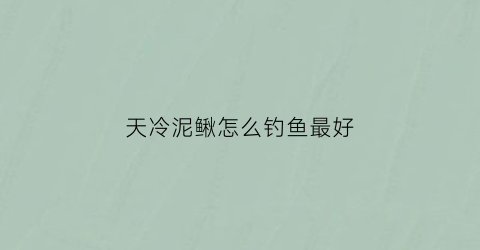 天冷泥鳅怎么钓鱼最好(冬天泥鳅能钓什么鱼)