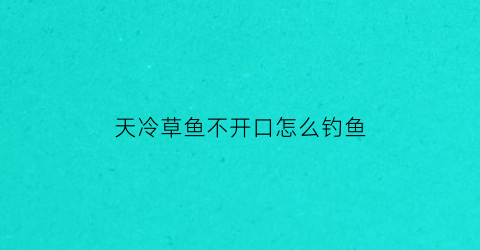 天冷草鱼不开口怎么钓鱼