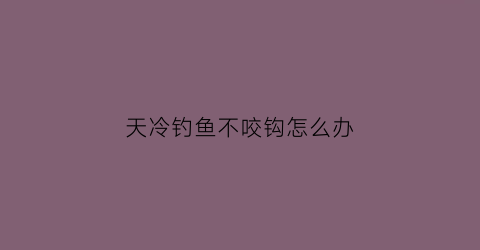天冷钓鱼不咬钩怎么办(天冷好钓鱼不)