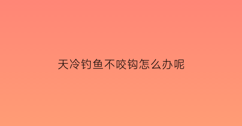 天冷钓鱼不咬钩怎么办呢(天冷钓鱼不开口怎么办)