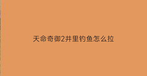 天命奇御2井里钓鱼怎么拉