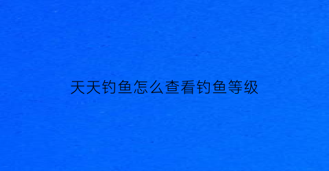 天天钓鱼怎么查看钓鱼等级(天天钓的位置没鱼了)