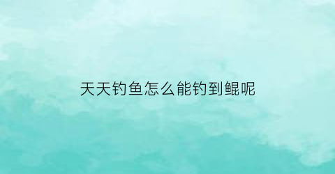 天天钓鱼怎么能钓到鲲呢(天天钓的位置没鱼了)