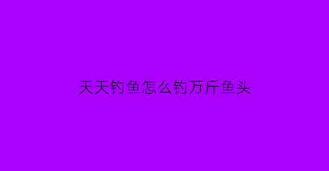 “天天钓鱼怎么钓万斤鱼头(天天钓鱼app官方下载)