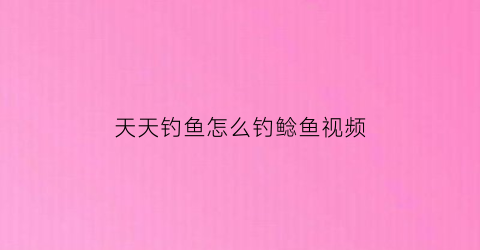 “天天钓鱼怎么钓鲶鱼视频(天天钓鱼的人怎么挣钱)