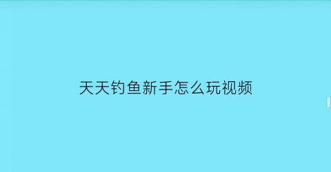 天天钓鱼新手怎么玩视频