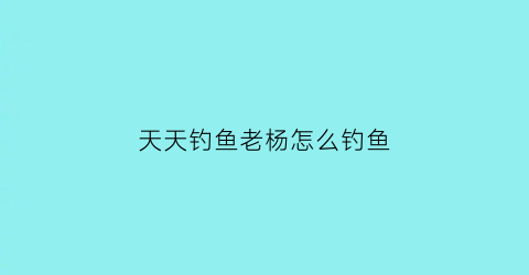 “天天钓鱼老杨怎么钓鱼(天天钓鱼的人怎么挣钱)