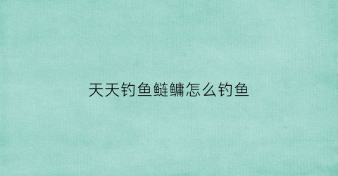 天天钓鱼鲢鳙怎么钓鱼(天天钓鱼的人怎么挣钱)