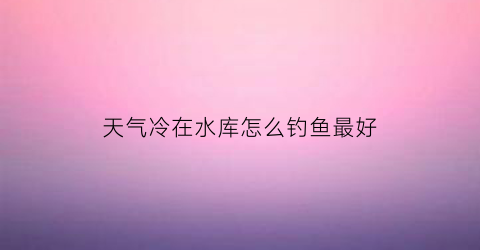 天气冷在水库怎么钓鱼最好
