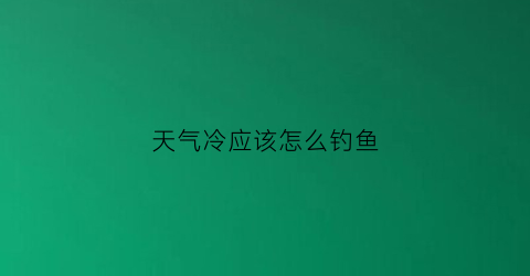 天气冷应该怎么钓鱼(天气冷怎么钓鱼好钓)