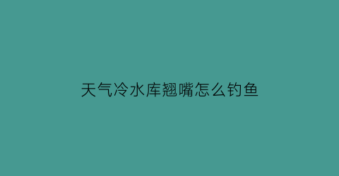 天气冷水库翘嘴怎么钓鱼