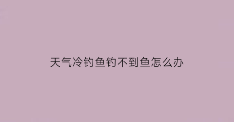 天气冷钓鱼钓不到鱼怎么办(天气冷钓鱼钓不到鱼怎么办呀)