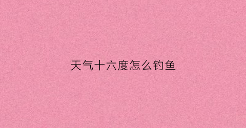 天气十六度怎么钓鱼
