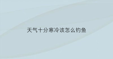 天气十分寒冷该怎么钓鱼(天气十分寒冷该怎么钓鱼好)